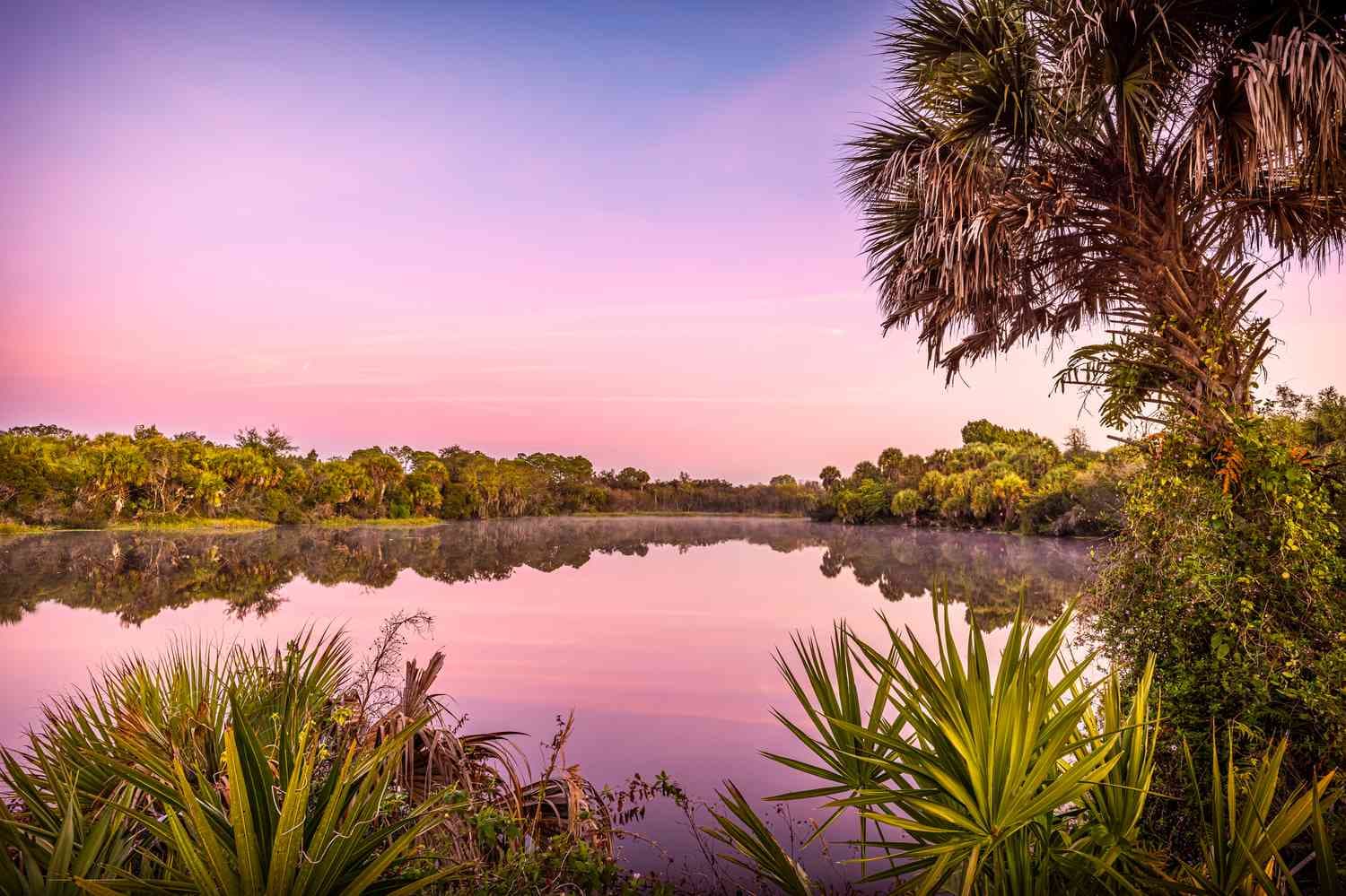 Pipedex Plumbing in North Port, FL
